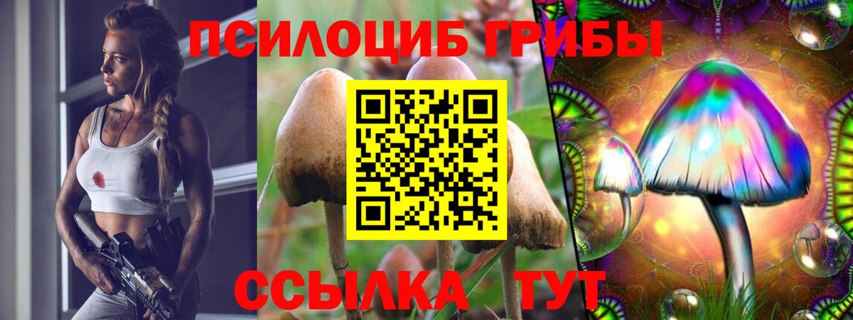 Псилоцибиновые грибы Magic Shrooms  Вход с VPN  Бугуруслан  Галлюциногенные грибы Cubensis 