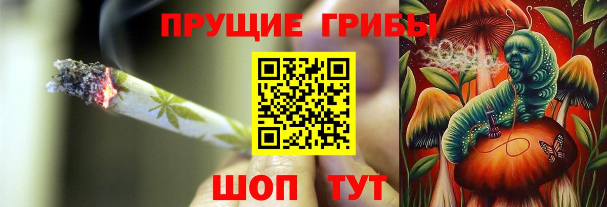 Галлюциногенные грибы Psilocybe Бугуруслан
